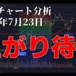 2024年7月23日ビットコイン相場分析