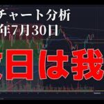 2024年7月30日ビットコイン相場分析