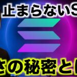 2024年の仮想通貨はSOL!なぜここまで強いのか？