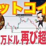 ビットコイン近いうち再び6万ドルを超えるか！？今後数ヶ月間FTX返済2兆6080億円の一部買い圧力か！？