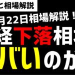 【7月22日のゆるっと相場解説】下落続く日経平均株価！相場は先行きヤバいのか？ズボラ株投資