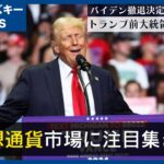 【仮想通貨】バブル到来!?バイデン氏撤退!!トランプ氏就任期待上げ来るぞ‼【BTC（ビットコイン）】【トランプ大統領】【イーロンマスク】