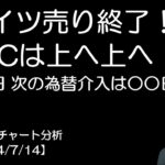 BTC短期チャート分析【2024/7/14】ドイツ売り終了！仮想通貨はここから上昇する！？ドル円はこれから円高へ！？次の為替介入は○○日です！？