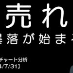 BTC短期チャート分析【2024/7/31】暴落が始まる！？売れ！？Shortが輝くターンへ