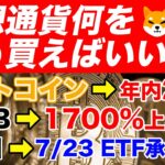 【仮想通貨】BTC(ビットコイン)？ETH(イーサリアム)？今年はこれを買え🚨【SHIB（柴犬コイン）】【SOL（ソラナ）】