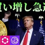 【トランプBitcoin2024参戦】米CPI前のビットコインクジラと「ポルカドットDOTがイーサリアムに統合される」の真相、カンボジアの闇サイト仮想通貨市場の現在とアルトCelestiaの高騰