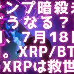 トランプ暗殺未遂でどうなる？ / SEC裁判7月18日に注目 / XRPBTC反転 / XRPは救世主になるか？ #xrp #リップル最新情報