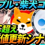 【柴犬コイン・リップル】SHIB・XRP保有者に朗報！韓国でビットコイン超え達成でここから神展開！