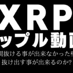 XRPリップルのアップデート動画！異変が起きそうな状況！？