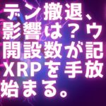 バイデン撤退とXRPへの影響 /  SECゲンスラーも辞任？ / ウォレット開設数が最高記録更新 / 一般投資家がXRPを手放した時に始まる #xrp #リップル最新情報