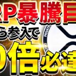 【XRP（リップル）】リップル1枚100ドル目前か！待ちに待った利確に今すぐ備えて下さい【仮想通貨】