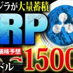 【リップル(XRP)】2030年には1500％高騰か！クジラが大量蓄積を開始し上昇へのカウントダウン！最新価格予想を徹底解説【仮想通貨】