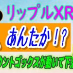 【 リップル（XRP）】マウントゴックスが47,200ビットコインを送金⁉【仮想通貨】XRPの強気センチメントが急上昇！