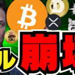 【🔥ビットコイン爆億か】ドルが死に仮想通貨は生きる。イーロンマスクが吠える／XRP最新情報！7月が勝負／ドージコインなど犬系コインあやうし？／メタプラネットがストップ高！うぇいうぇい！！