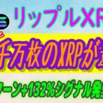 【 リップル（XRP）】リップルは7月の準備金の1億5000万XRPを送信⁉【仮想通貨】ビットコインリターン132％シグナル発生！