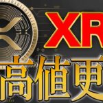 【リップル】クジラの保有量が過去最大に!!最高値更新へ向けた重要価格ラインとは【XRP】【BTC】【ビットコイン】