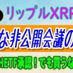【 リップル（XRP）】銀行システム障害でBTCが上昇⁉【仮想通貨】XRPクジラ動向・イーサリアムETF承認、でも買うな⁉