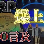 【速報】XRP（リップル）CEOのまさかの発言で相場に激震か！？