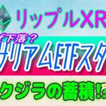 【 リップル（XRP）】イーサリアムETFスタートの結果⁉下落？【仮想通貨】XRPクジラの蓄積⁉