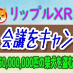 【 リップル（XRP）】SEC会議をキャンセルで下落⁉【仮想通貨】シバイヌインド最大の取引所から盗まれる！
