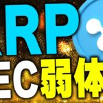 【仮想通貨(リップル)】最新情報❗️XRP(リップル社)だけでなくSECに有利な展開に！リップル裁判に動きがあるぞ！2024年仮想通貨バブルはこれから！【XRP(ソラナ)】【イーサリアム(ETH)】