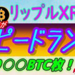 【 リップル（XRP）】ドイツ政府がビットコインの清算スピードを上げる⁉【仮想通貨】リップルXRP、機関投資家からの流入