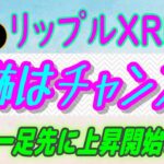 【 リップル（XRP）】ビットコイン指数は「極度の恐怖」チャンスか！【仮想通貨】XRPは大幅な価格変動を示唆？