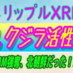 【 リップル（XRP）】大口投資家がXRPを蓄積⁉【仮想通貨】ビットコイン、イーサリアムも記録的流入！