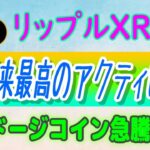 【 リップル（XRP）】XRPの価格と活動が上昇⁉【仮想通貨】ドージコイン急騰！・ビットコインフランス年金制度に導入！