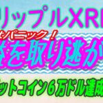 【 リップル（XRP）】パニック⁻バイが始まる⁉【仮想通貨】XRP今年最大の○○発生した！・ビットコイン6万ドル達成！