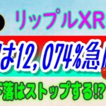 【 リップル（XRP）】XRPの将来価格予測⁉【仮想通貨】シバイヌハッキングのその後・ビットコインETF
