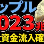 【リップル(XRP)】ゴールド・シルバーの資金がXRPLに流入！？【仮想通貨】