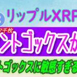 【 リップル（XRP）】マウントゴックスが動いただけで急落！【仮想通貨】恐怖と貪欲jの指数は恐怖を示す。