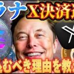 【ソラナ】X決済通貨！！億り人確定！今仕込むべき理由を教えます！？＃SHIB＃SOL＃XRP＃DOGE＃柴犬コイン＃シバコイン＃決済通貨＃仮想通貨