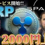 【リップル急騰】※イーロンとリップル提携※決済場所大幅拡大!!創設者タッグ開始🤝