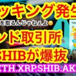 【ビットコイン調整下落🫡】インドでハッキング‼️犯人は…奴らっぽい😂リップルも売り圧からの調整❗️割れたらダメなラインは❓