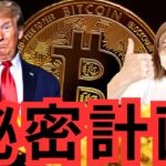 ビットコイン大統領登場!? 来週は急騰の予感。トランプの大胆発言！仮想通貨への影響は？