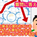 【バブルが来なかったら、上昇を見込んで買った現物はどうするの？】に答えてみました。