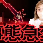 ビットコイン急変！米国大統領選挙ハリス氏の意外な発言… 今知るべき仮想通貨情報