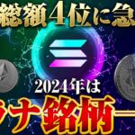 【仮想通貨ソラナ】今年仕込むならソラナ銘柄一択！初心者が少額からでも億り人になれるコインを紹介します！【ビットコイン】【無料】