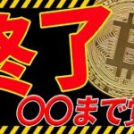 ⚠️暴落⚠️ビットコインのバブル崩壊！今後どこまで下がるのか徹底分析！【仮想通貨】