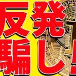 ⚠️超重要⚠️ビットコイン反発中だが騙し⁉︎今後の最新分析を共有！【仮想通貨】