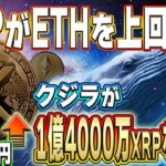 【リップル】クジラが1億4000万XRPを蓄積！XRPがイーサリアムを上回る時が来た！！【仮想通貨】【柴犬コイン】【イーロンマスク】【ビットコイン】【SHIB】【XRP】