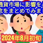 【仮想通貨市場に影響を及ぼしている懸念とは？】2024年8月初旬