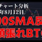 2024年8月12日ビットコイン相場分析