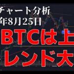 2024年8月25日ビットコイン相場分析