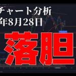 2024年8月28日ビットコイン相場分析