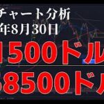 2024年8月30日ビットコイン相場分析