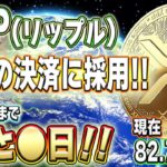 【リップル】2025年までに日本の全ての金融取引にXRPを採用！今のうちに準備しておきましょう！！【仮想通貨】【柴犬コイン】【イーロンマスク】【ビットコイン】【SHIB】【XRP】