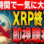 【最新情報】あなたのコインは大丈夫？仮想通貨市場全体が24時間で大暴落！一体何が・・・【リップル】【シバコイン】【ドージ】【イーサリアム】【XRP】【SHIB】【DOGE】【Ripple】